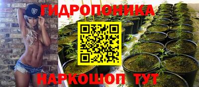 прущие крисы Донской