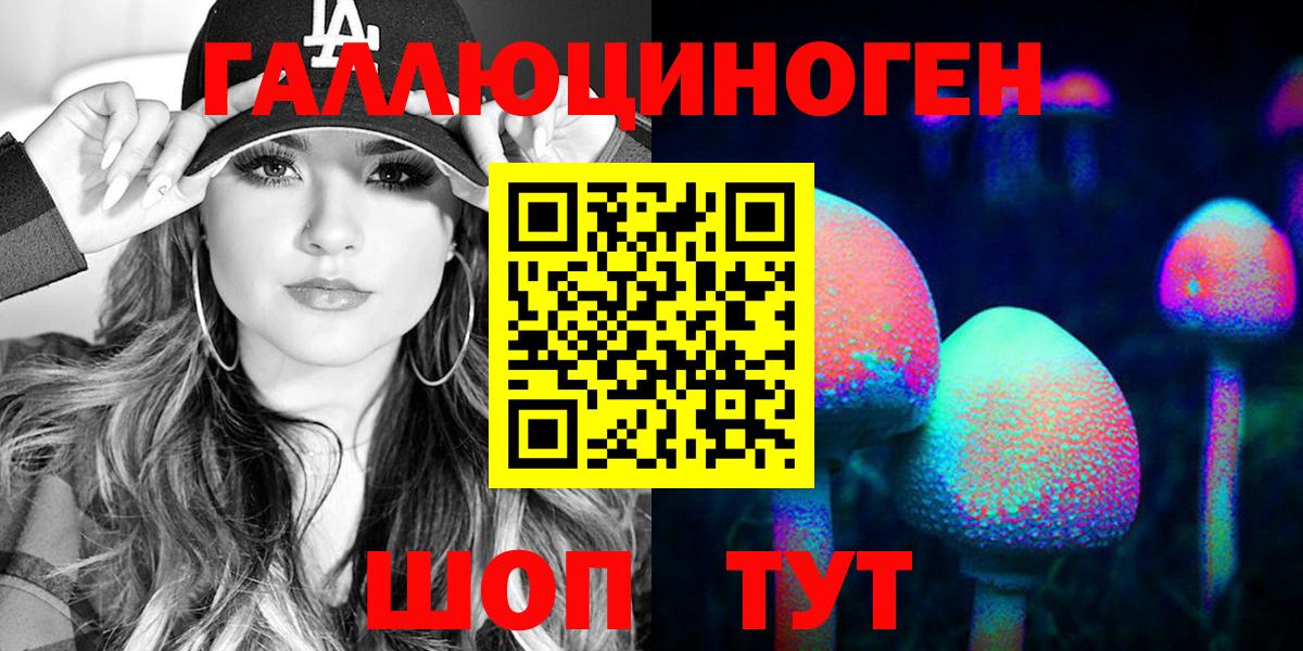 Псилоцибиновые грибы Psilocybine cubensis Курчалой