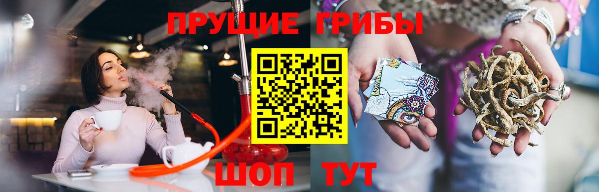Курчалой  Галлюциногенные грибы MAGIC MUSHROOMS  Вход с VPN 